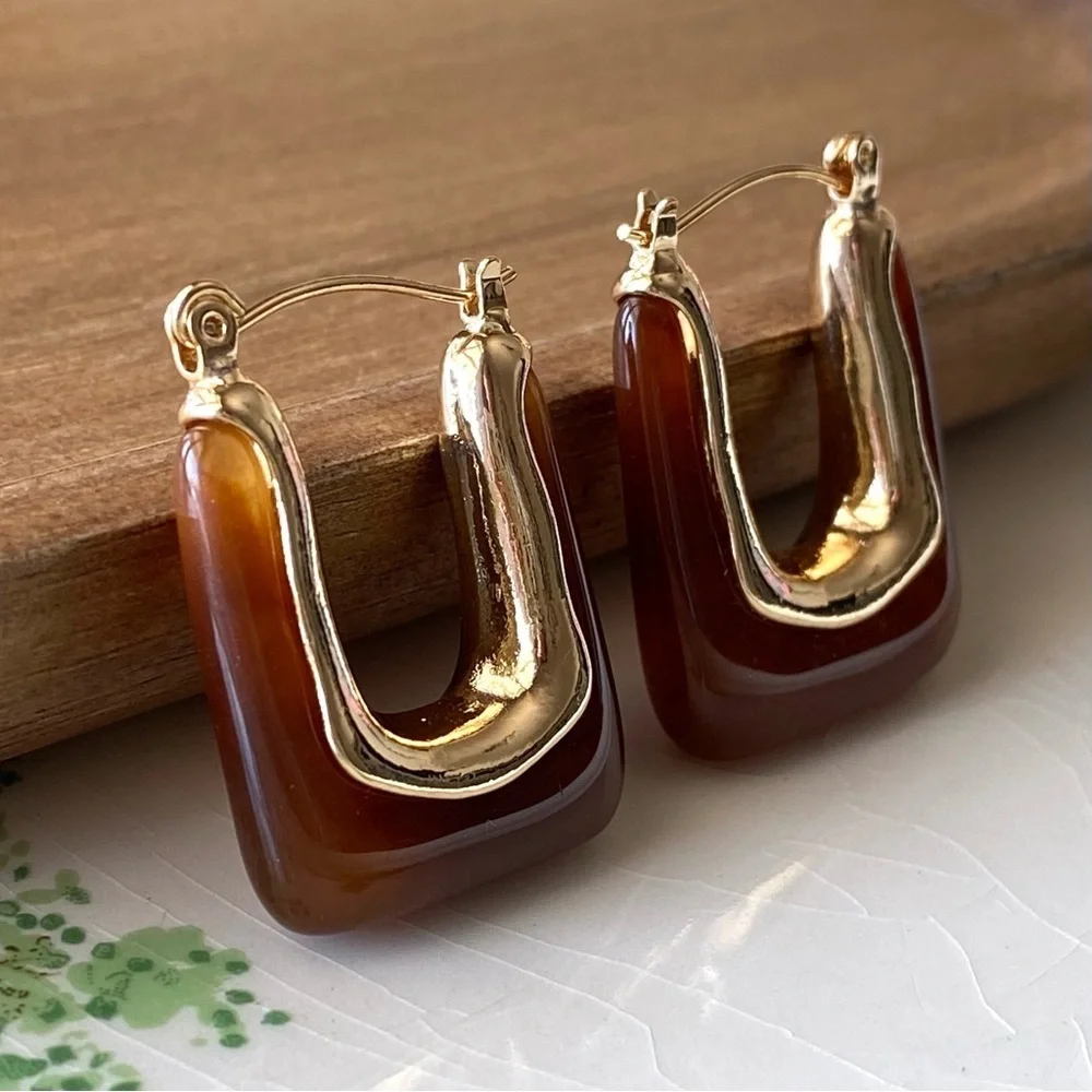 ✨ Zara Elise Cubic Earrings in Coffee